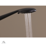 Douche noire pour un look sophistiqué