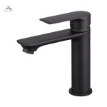 Mitigeur lavabo NYTIA avec style raffiné