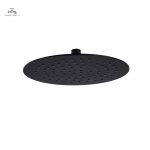Douche de tête 250, finition durable et esthétique