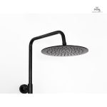 Douche de tête 250, performance optimale pour tous
