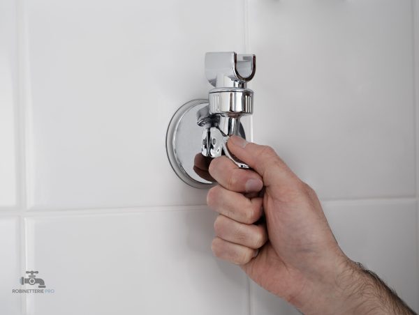 Pommeau de douche avec support adhésif